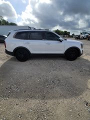 2022 Kia Telluride EX - Exterior Side Passenger